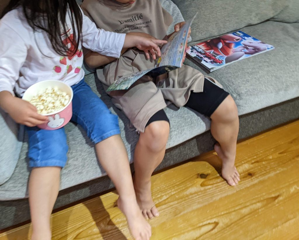 意外とお安く手に入れることができる映画パンフレット