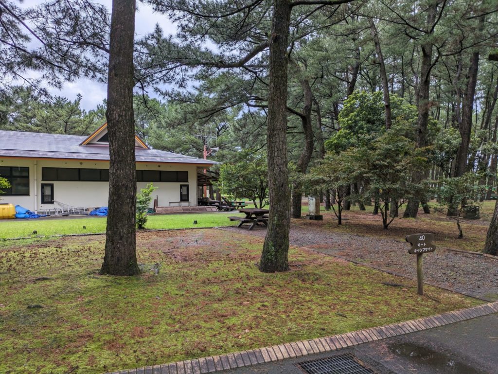 自然感とはうらはらに、トイレはとてもきれい