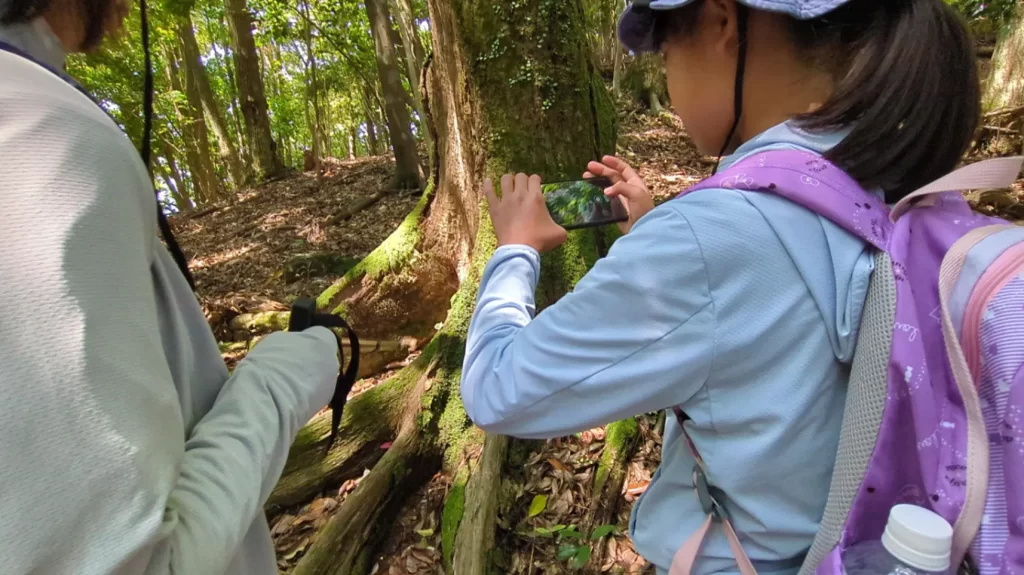植物をスマホで撮影し、植物図鑑を作る