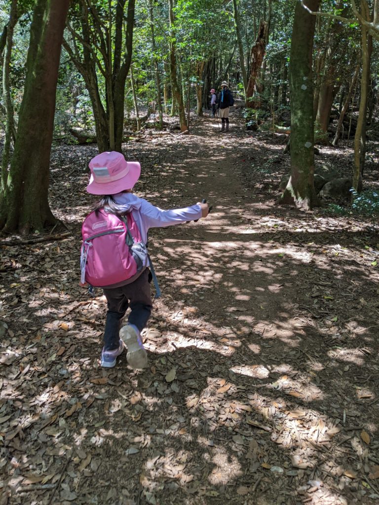 森林浴も楽しめる