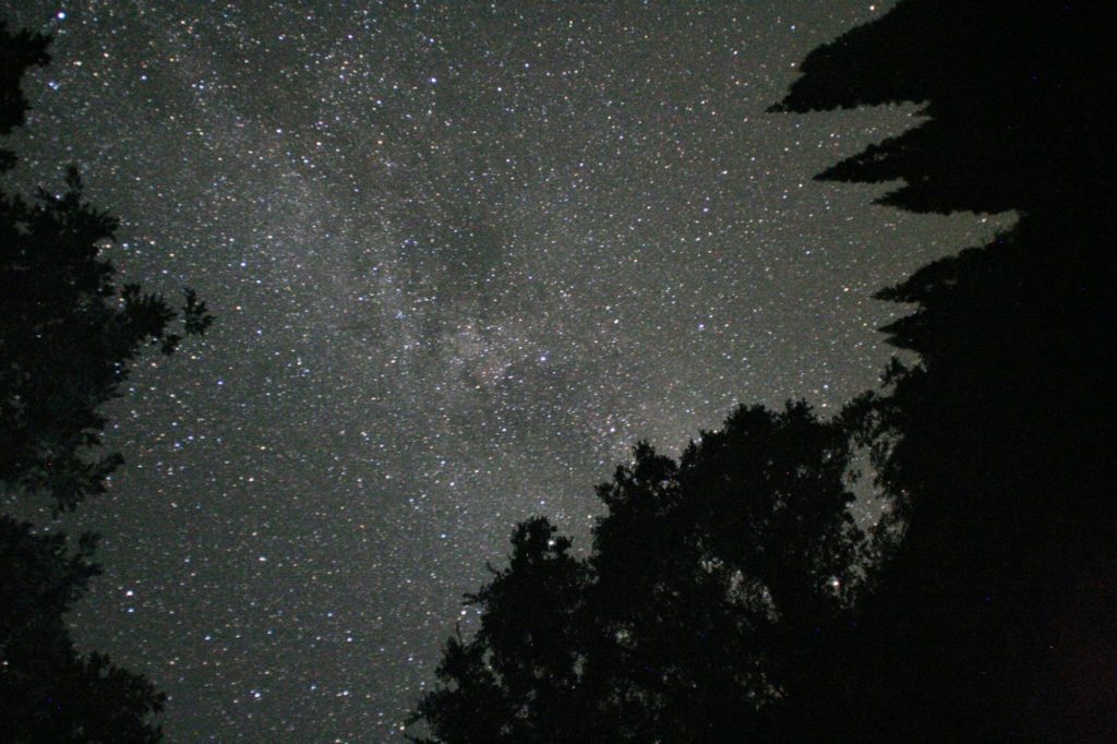 シルエットになった木々の向こう側に、帯状に広がる無数の星々と天の川。