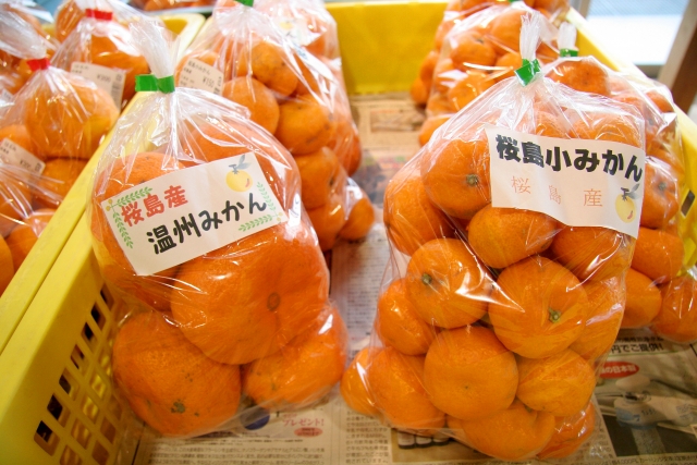 小さくて甘い、桜島小ミカン